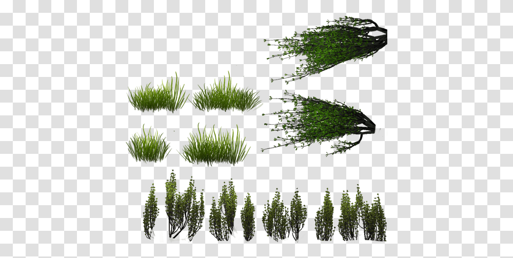 Mountain Lake Vegetation Sprite, Green, Plant, Bush, Woodland Transparent Png