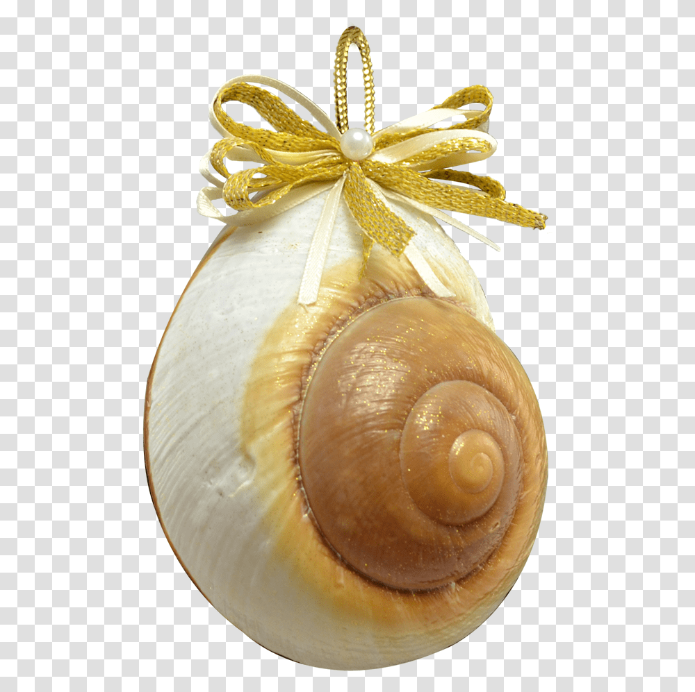 Mountain Land Snail Ornament 3 3 Sea Snail, Invertebrate, Animal, Pineapple, Fruit Transparent Png