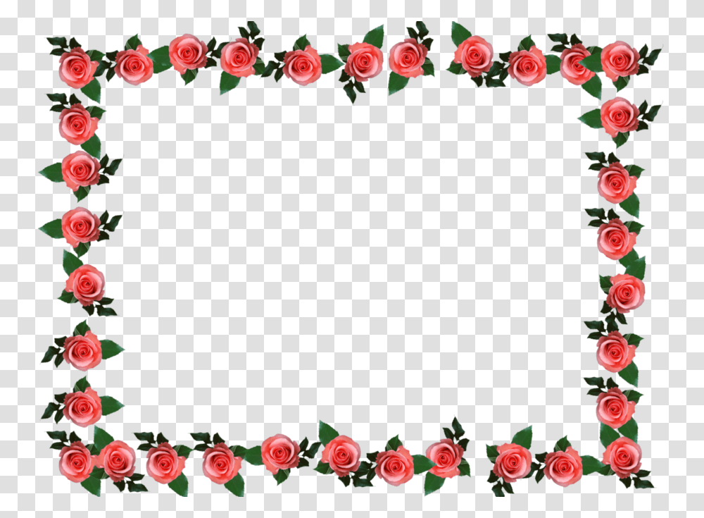 Mountain Lion Clip Art Free Image Information, Rose, Flower, Plant, Blossom Transparent Png