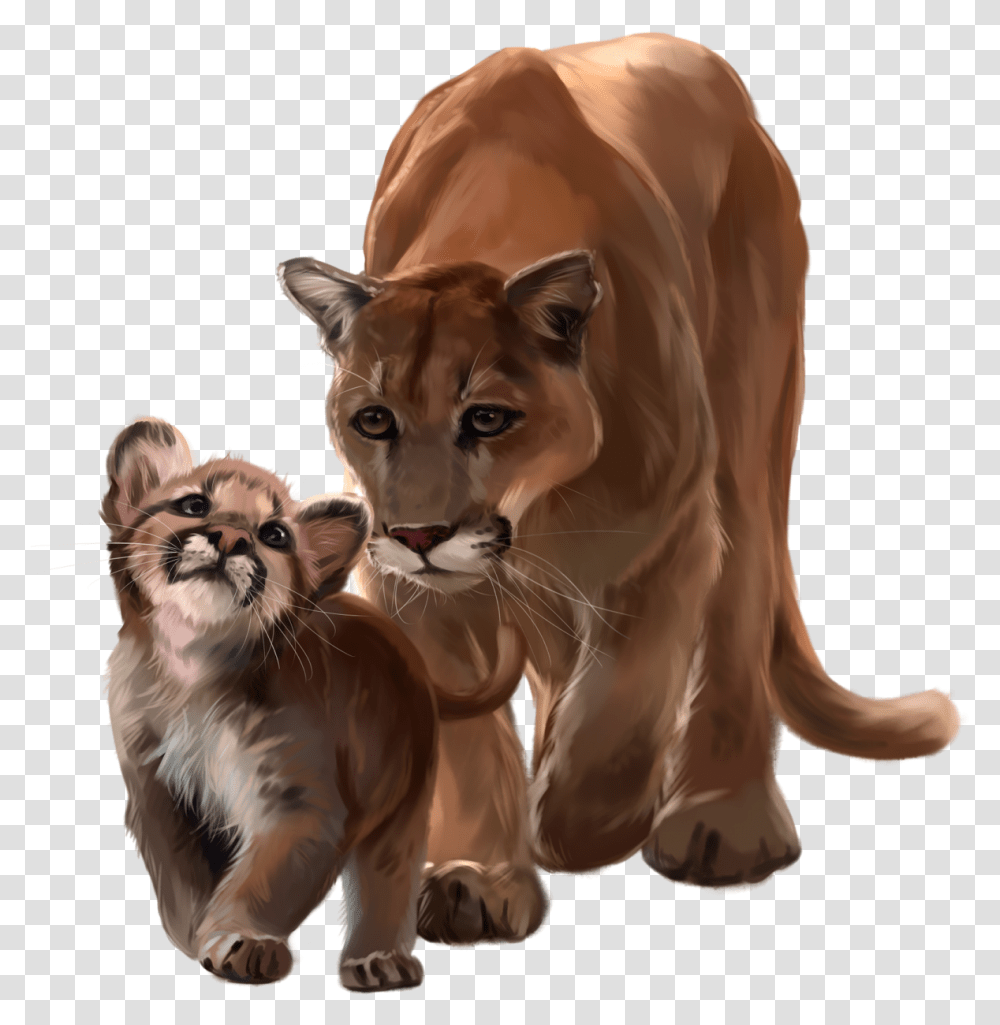 Mountain Lion, Wildlife, Animal, Mammal, Cougar Transparent Png
