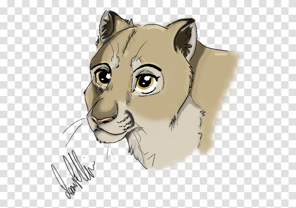 Mountain Lioness Illustration, Mammal, Animal, Wildlife Transparent Png