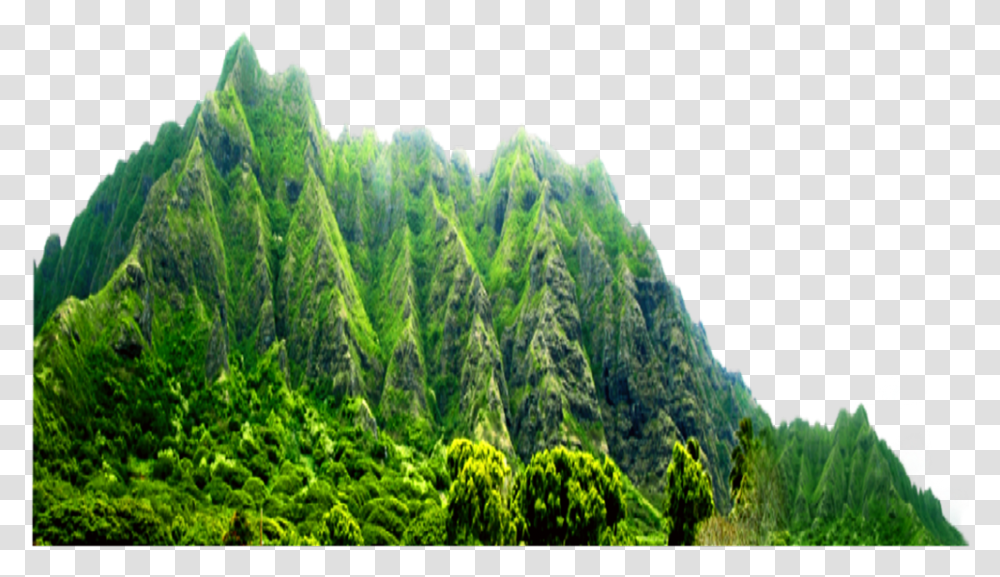 Mountain Mountains Hill Hills Green Greentrees, Plant, Nature, Outdoors, Vegetation Transparent Png