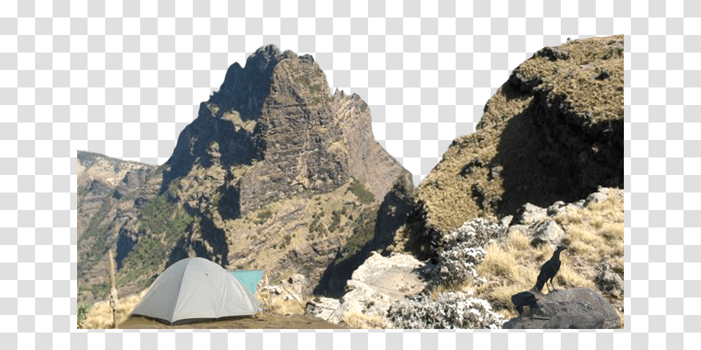 Mountain, Nature, Camping, Tent, Bird Transparent Png