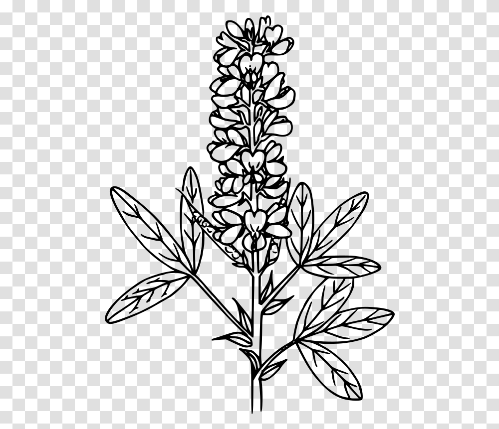 Mountain Pea Line Art, Gray, World Of Warcraft Transparent Png