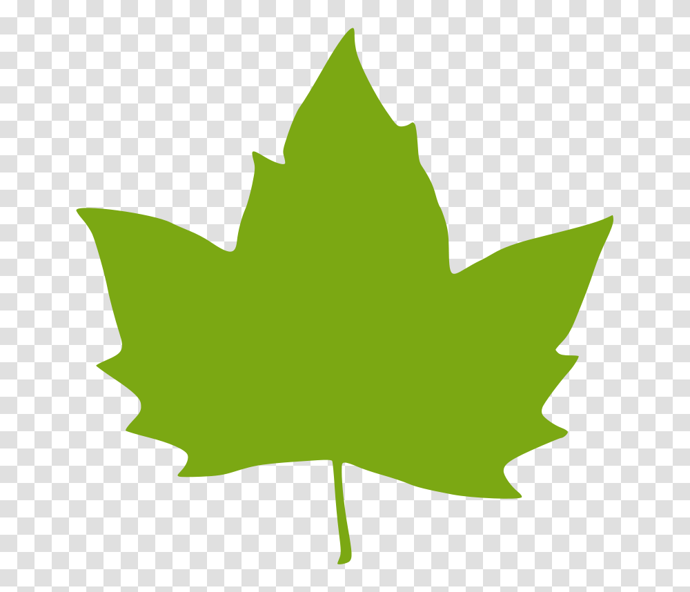 Mountains Clip Art, Leaf, Plant, Maple Leaf, Person Transparent Png