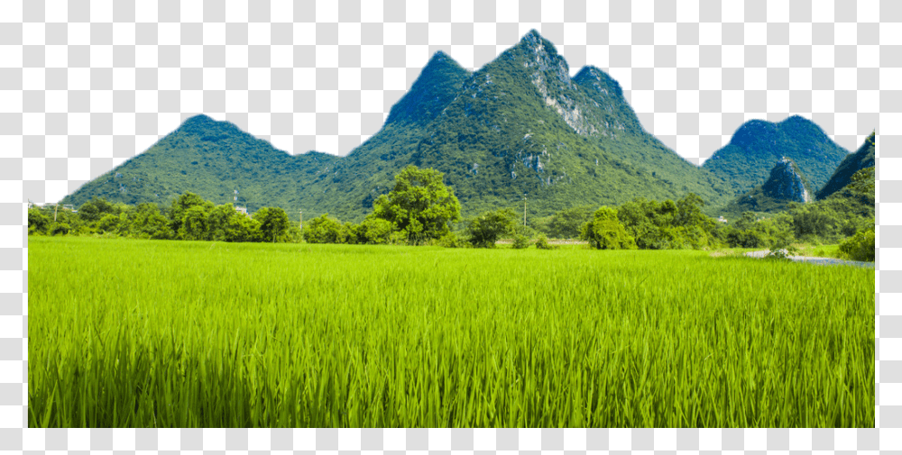 Mountains Clipart Mountains And Paddy Fields, Nature, Outdoors, Grassland, Countryside Transparent Png