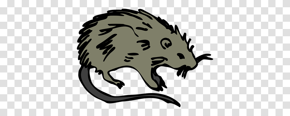 Mouse Animals, Mammal, Rodent, Stencil Transparent Png