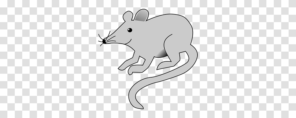 Mouse Animals, Mammal, Wildlife Transparent Png