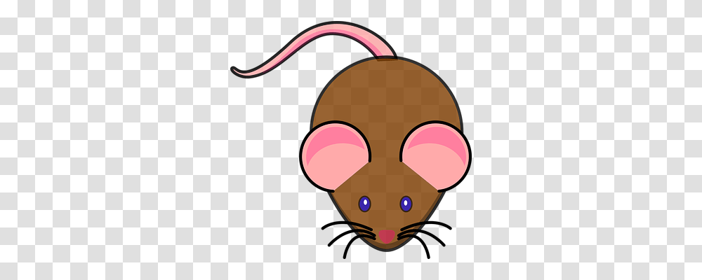 Mouse Animals, Head Transparent Png