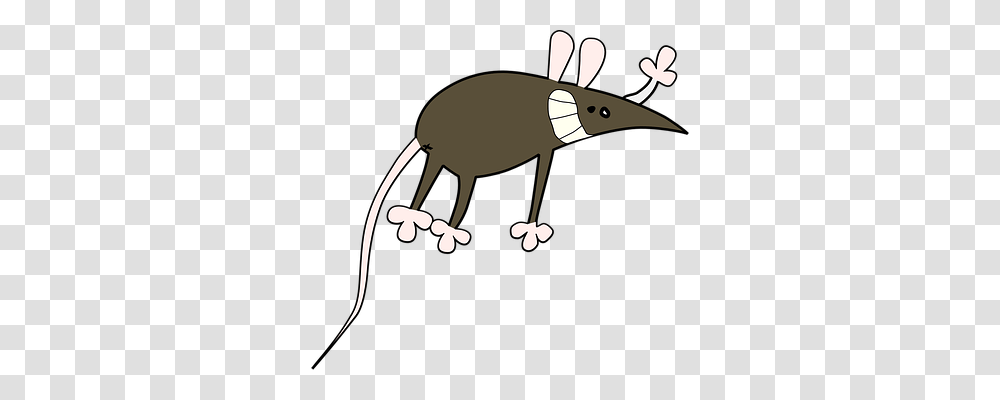 Mouse Animals, Wildlife, Mammal, Anteater Transparent Png