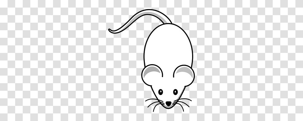 Mouse Animals, Stencil, Silhouette Transparent Png