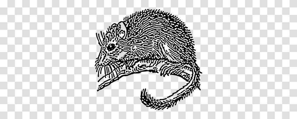 Mouse Animals, Gray, World Of Warcraft Transparent Png