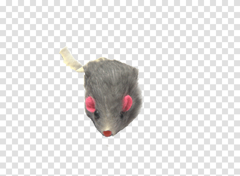 Mouse Animal Soft, Mammal, Rodent, Rat, Pet Transparent Png