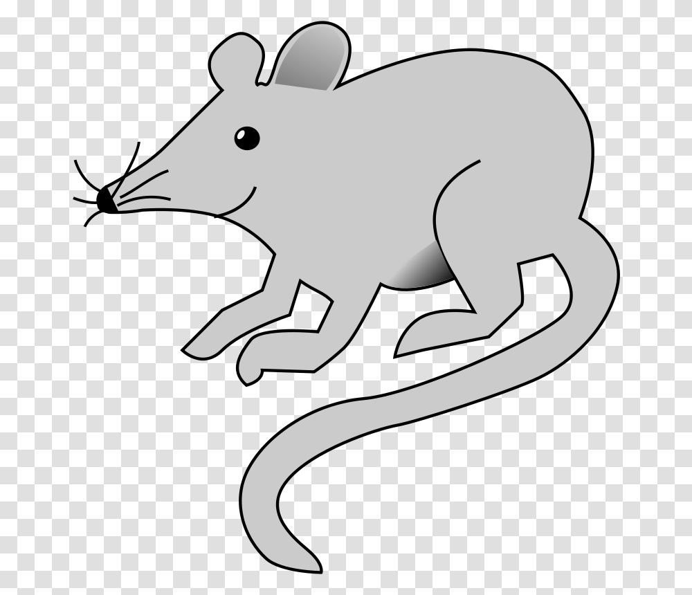 Mouse, Animals, Mammal, Wildlife Transparent Png