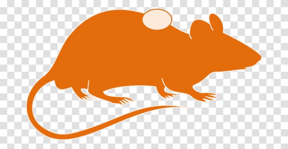 Mouse Brain Clipart, Animal, Mammal, Wildlife, Beaver Transparent Png