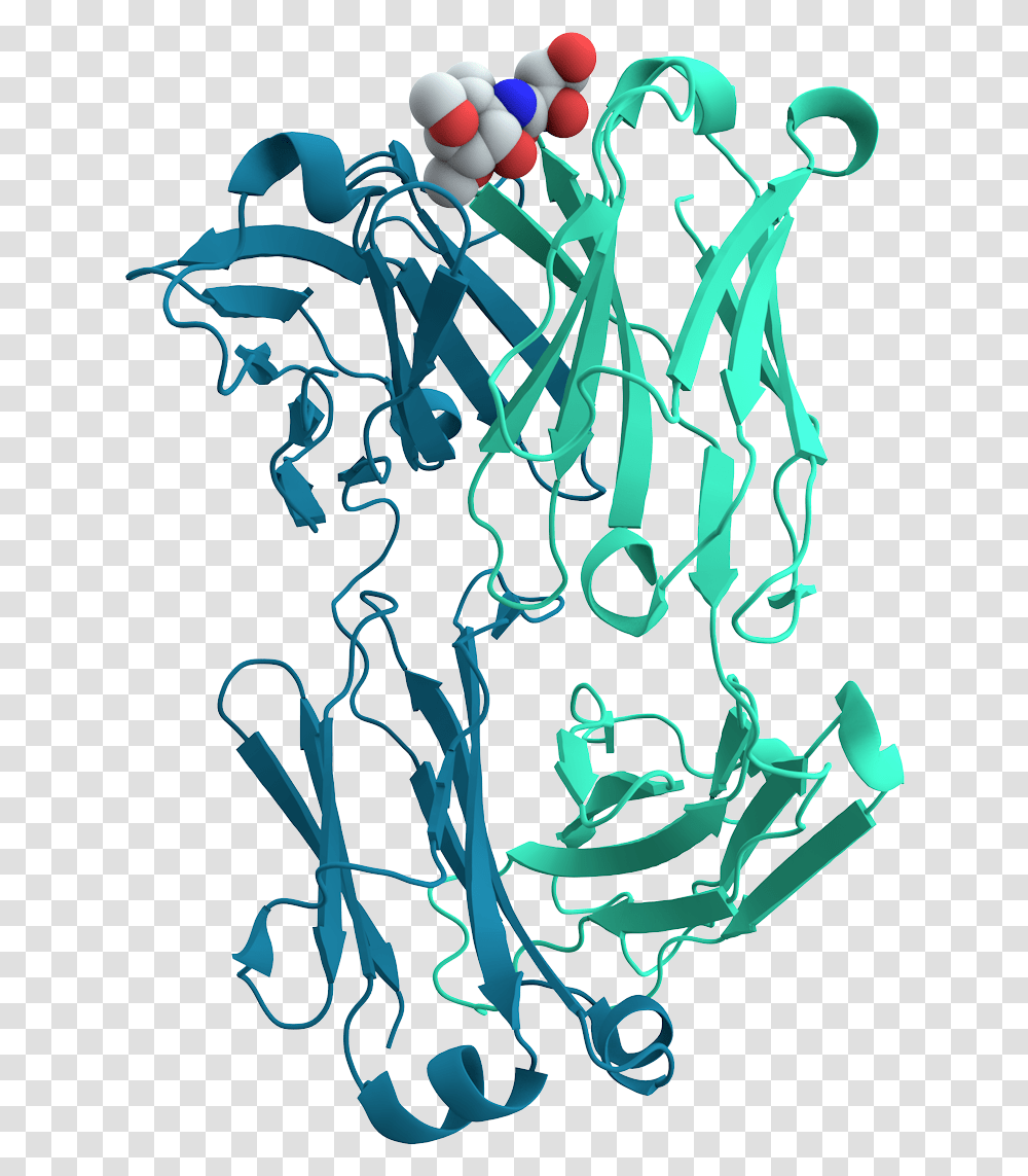 Mouse Cholera Antibody Protein Cell, Drawing, Pattern Transparent Png