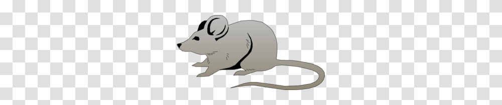 Mouse Clip Art, Animal, Mammal, Pet, Rabbit Transparent Png