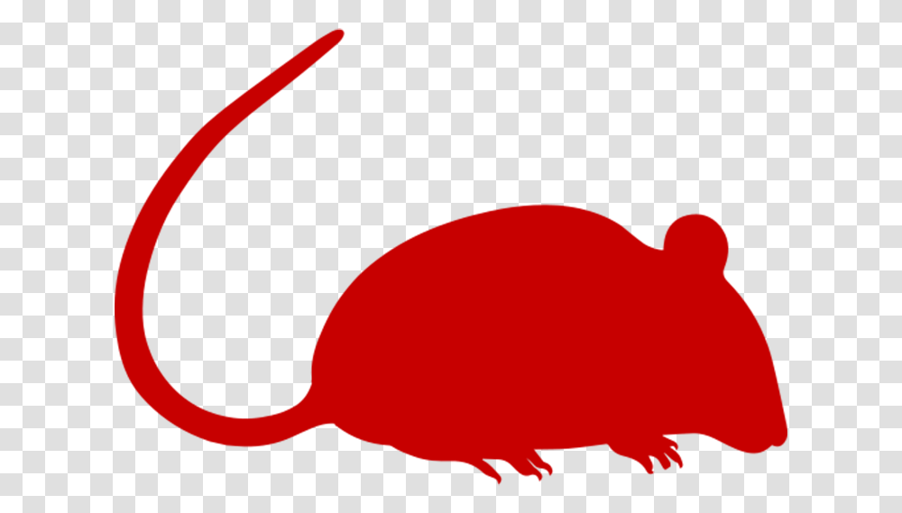 Mouse Clip Art, Mammal, Animal, Rodent, Rat Transparent Png
