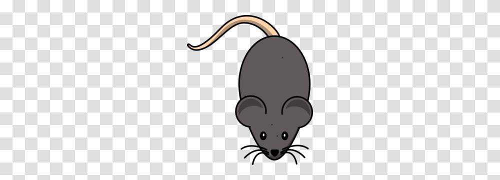 Mouse Clip Art, Mammal, Animal, Rodent, Wildlife Transparent Png