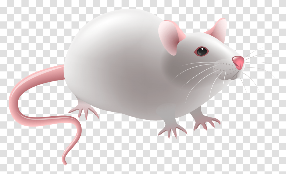 Mouse Clip Art Rat Clip Art, Rodent, Mammal, Animal Transparent Png