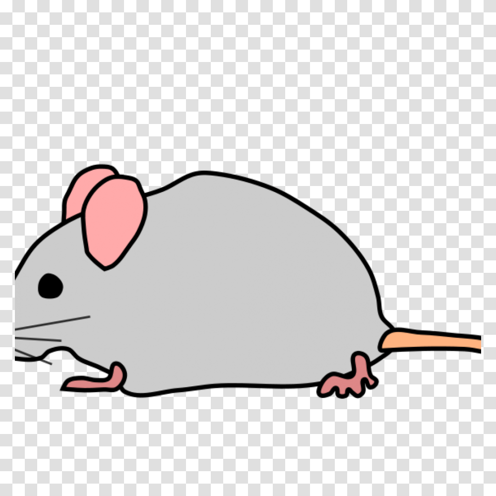 Mouse Clipart Black And White Huge Freebie Download For Within, Rat, Rodent, Mammal, Animal Transparent Png