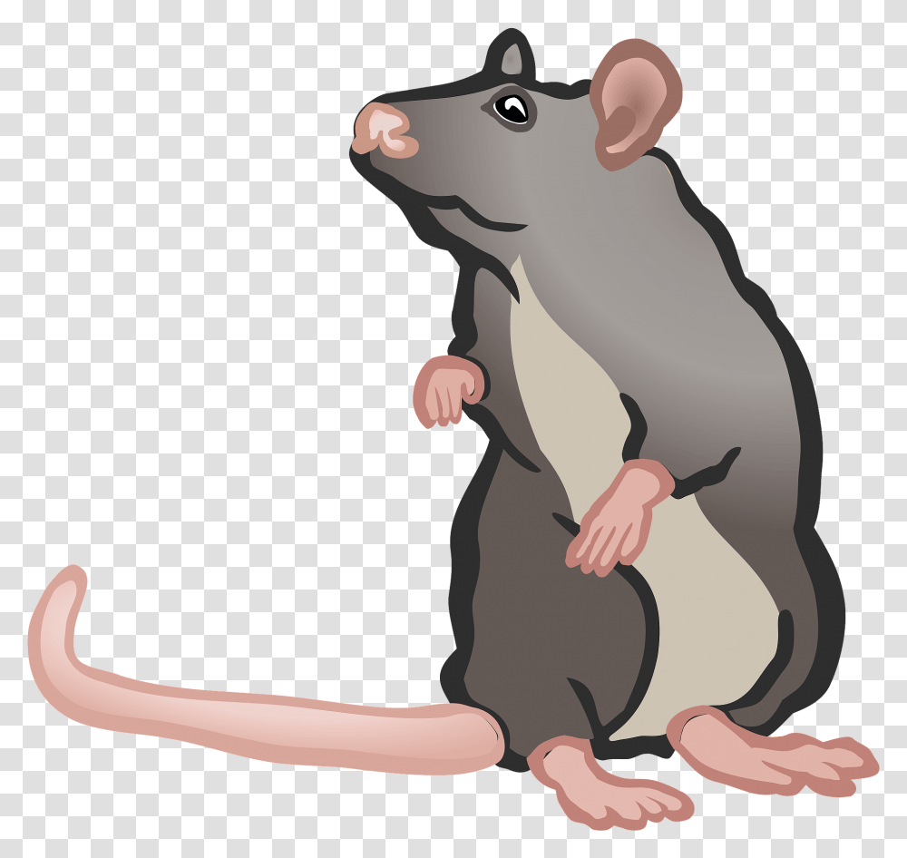 Mouse Clipart Free Download Creazilla 2 Mouse Clipart, Rodent, Mammal, Animal, Rat Transparent Png