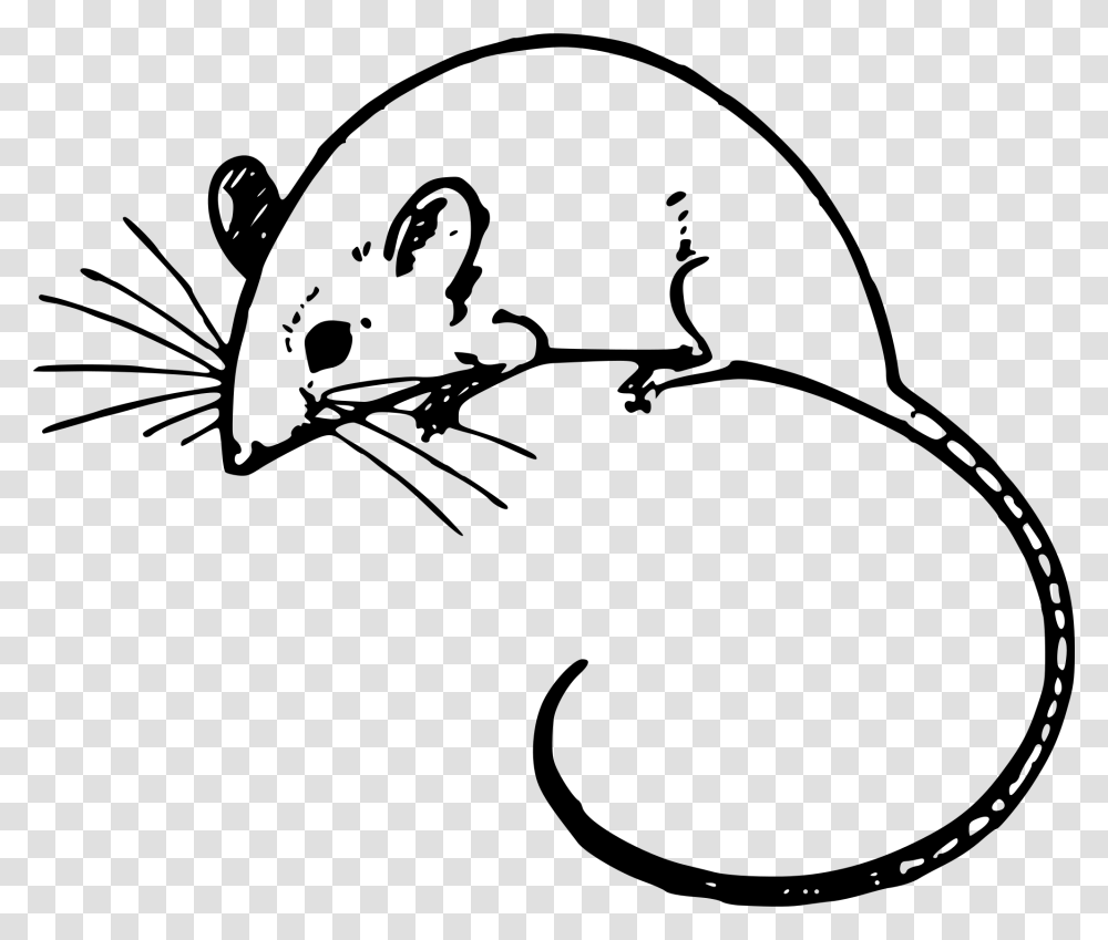Mouse Clipart Mouse Clipart Black And White Transparent Png