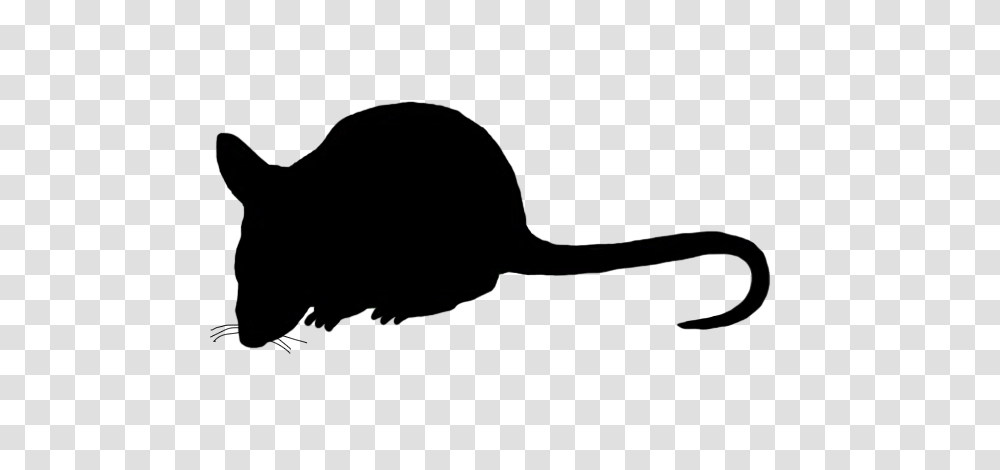 Mouse Clipart, Silhouette, Animal, Mammal, Rat Transparent Png
