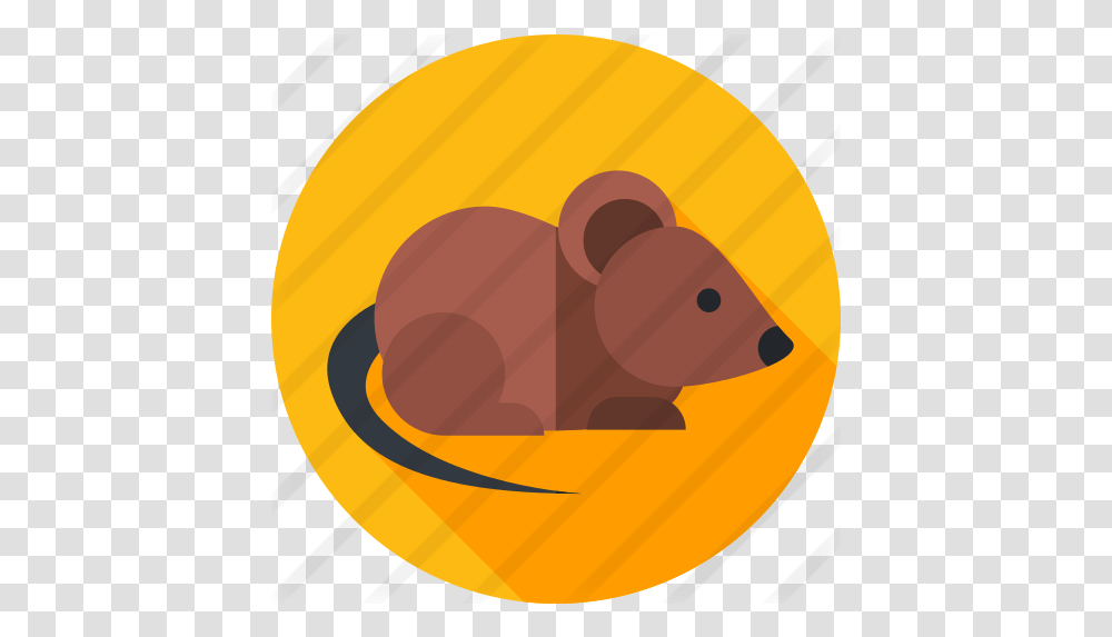 Mouse Free Animals Icons Clip Art, Mammal, Piggy Bank, Rodent, Wildlife Transparent Png