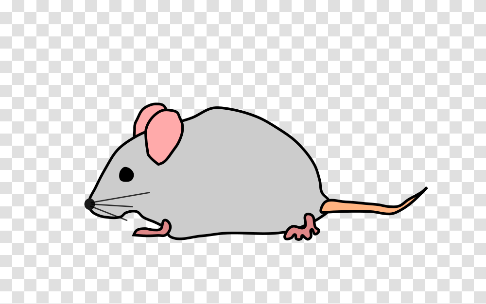 Mouse Free Clipart, Rat, Rodent, Mammal, Animal Transparent Png