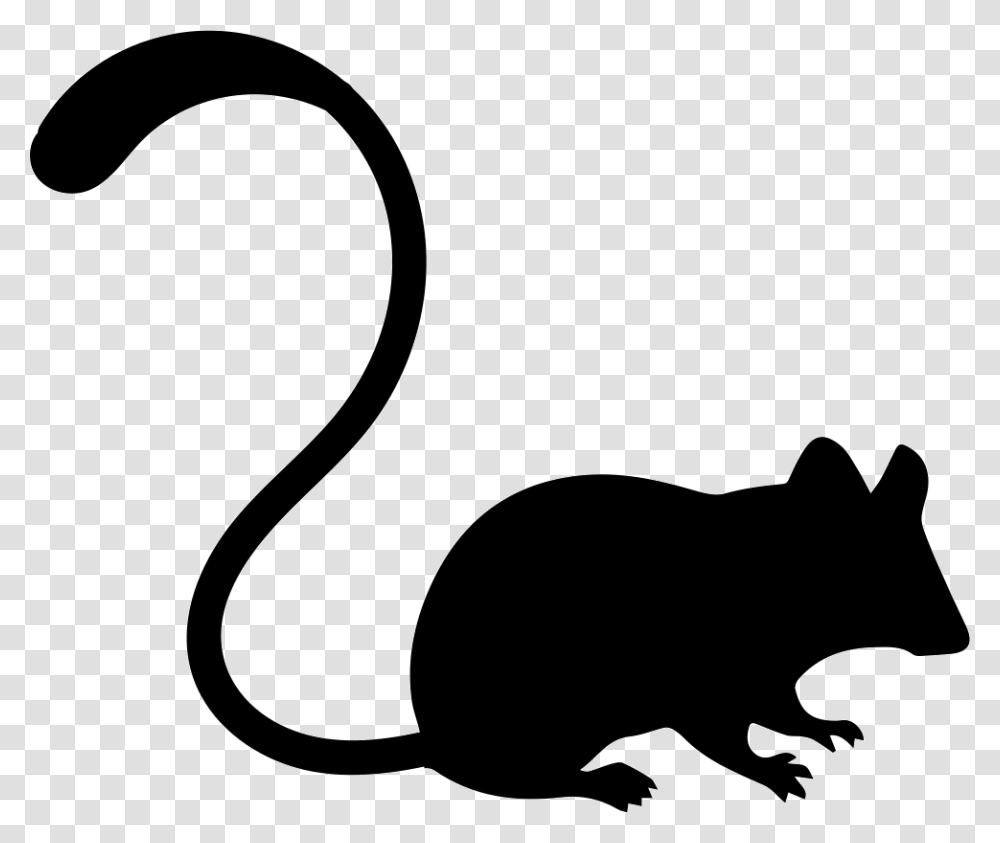 Mouse Icon, Animal, Mammal, Rodent, Cat Transparent Png