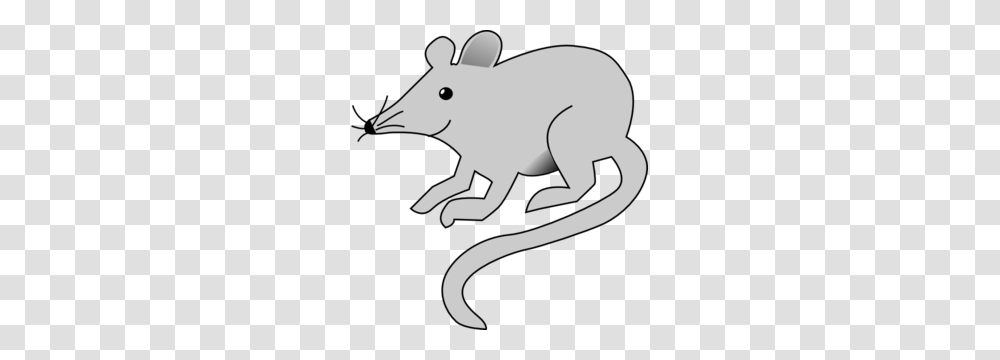 Mouse Images Icon Cliparts, Mammal, Animal, Wildlife, Rodent Transparent Png