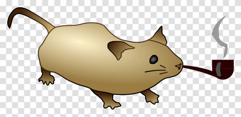Mouse Pooping, Animal, Mammal, Mole, Piggy Bank Transparent Png
