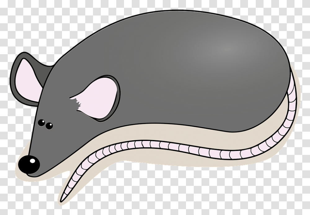Mouse Rat Animal Free Vector Graphic On Pixabay Rat, Mammal, Clothing, Apparel, Reptile Transparent Png