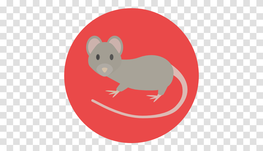 Mouse Rat Icon Circle, Mammal, Animal, Rodent, Frisbee Transparent Png