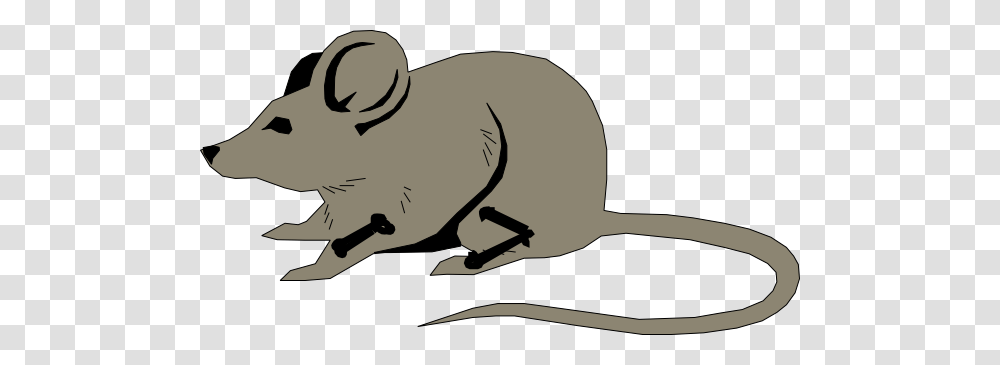 Mouse With Bones Clip Art, Mammal, Animal, Wildlife, Rodent Transparent Png