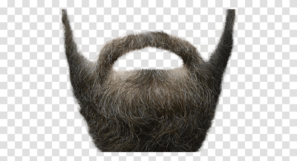 Moustache Images Beard Background, Face, Sheep, Mammal, Animal Transparent Png