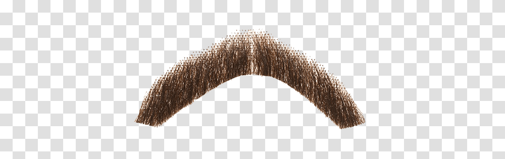 Moustache, Person, Brush, Plant, Outdoors Transparent Png