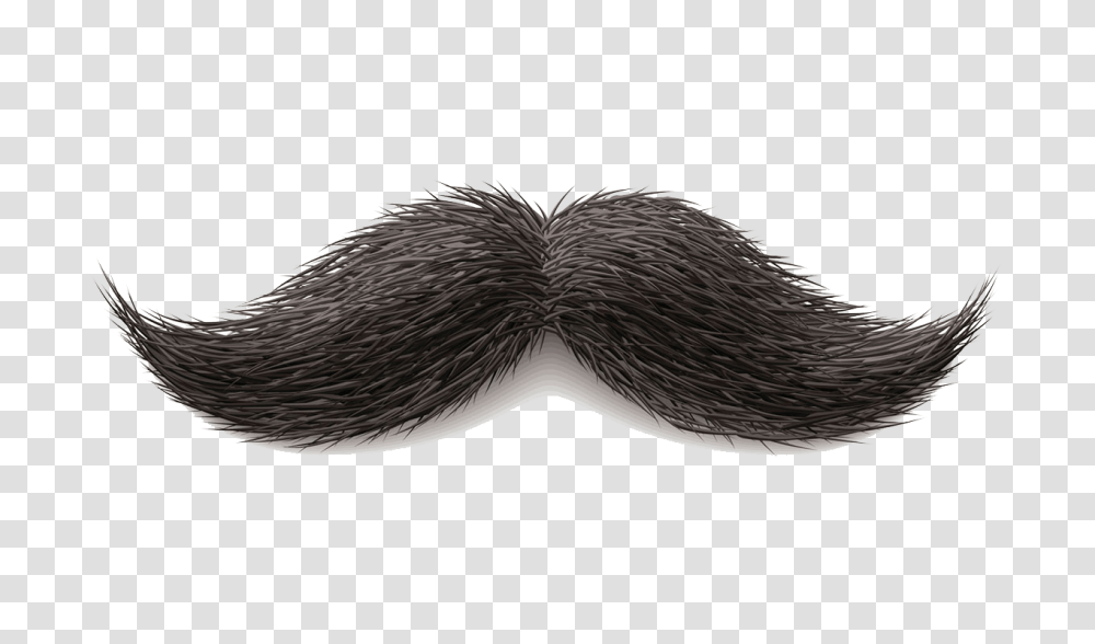 Moustache, Person, Mustache, Bird, Animal Transparent Png