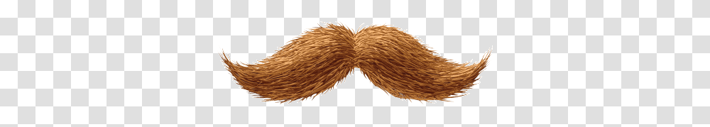 Moustache, Person, Pillow, Cushion, Brush Transparent Png