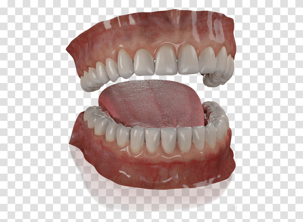 Mouth 3d Model Free Download, Teeth, Lip, Birthday Cake, Dessert Transparent Png