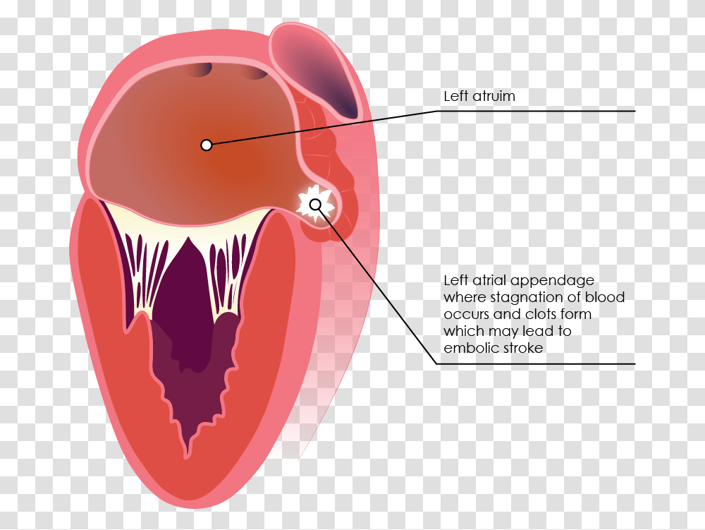 Mouth Blood, Lip, Tongue, Teeth, Throat Transparent Png