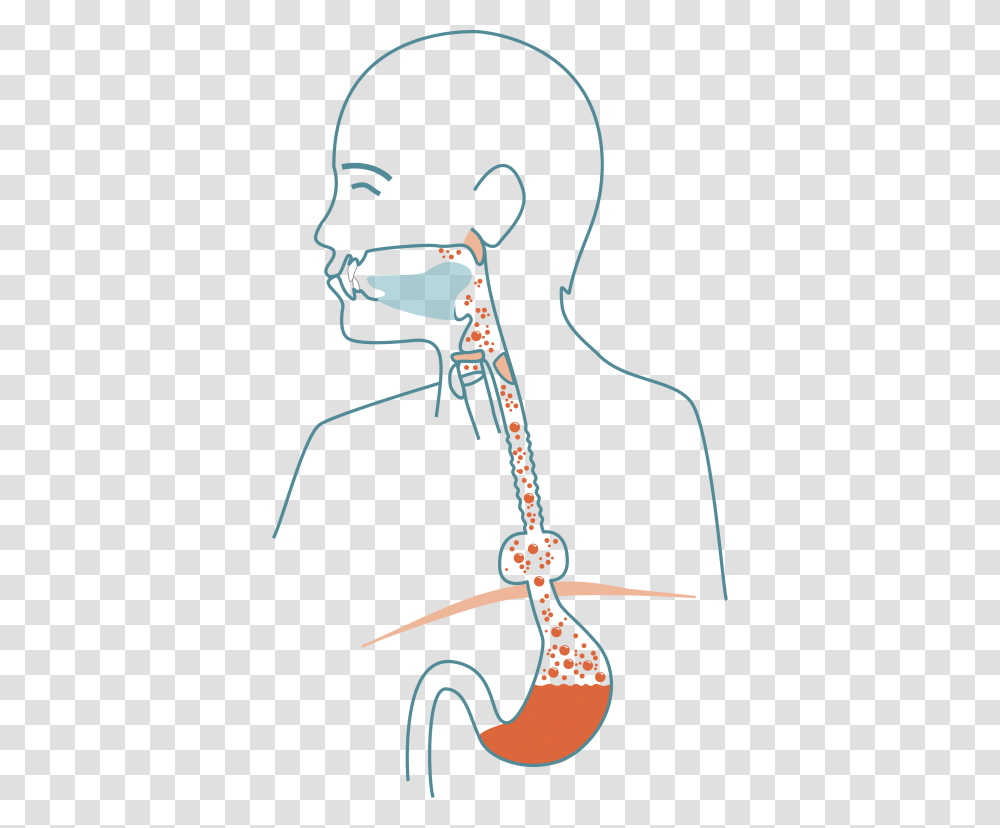 Mouth Clipart Esophagus Illustration, Machine Transparent Png