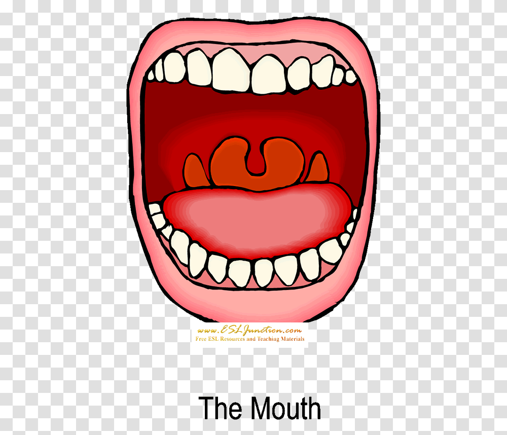 Mouth Images Clipart Animated Mouth Digestive System, Teeth, Birthday Cake, Dessert, Food Transparent Png