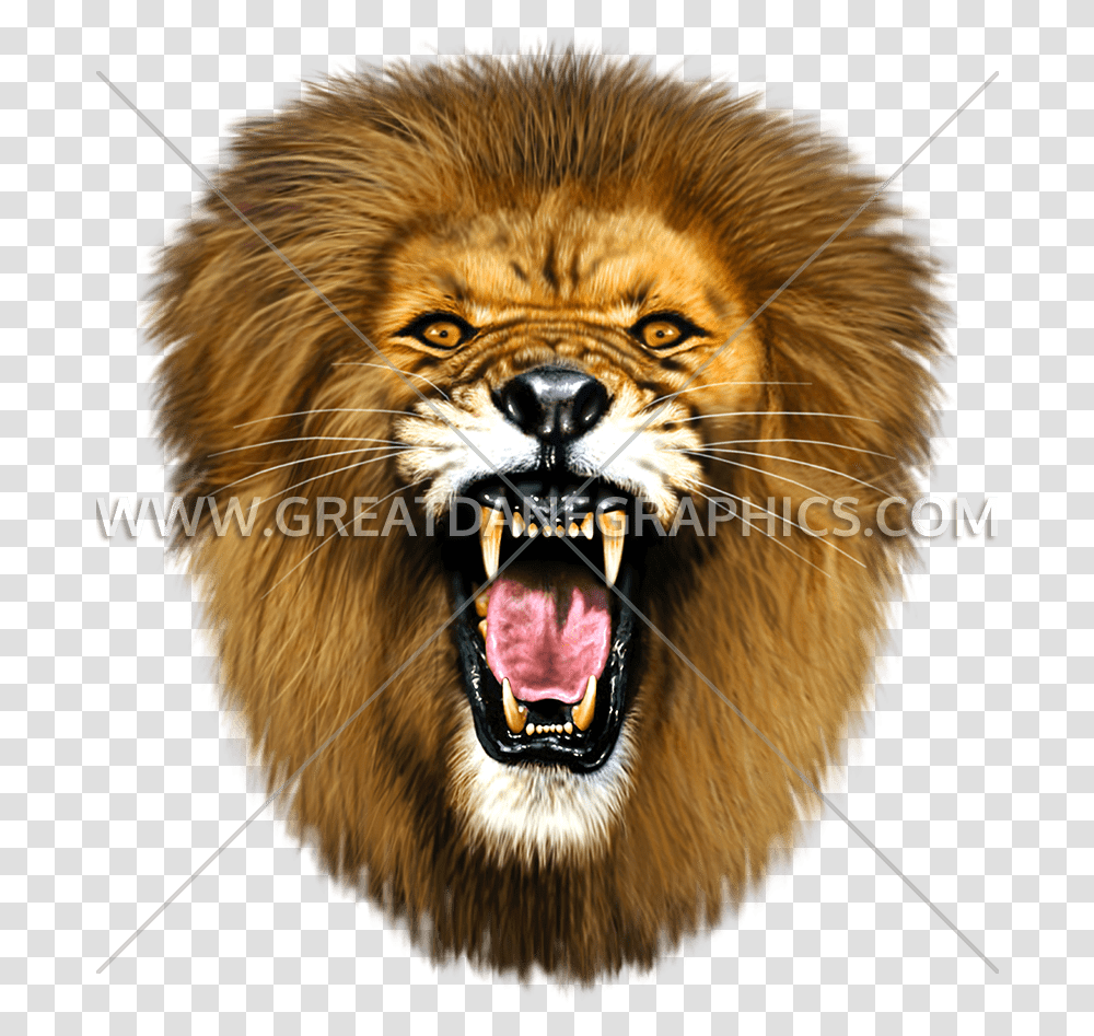 Mouth, Wildlife, Animal, Mammal, Lion Transparent Png