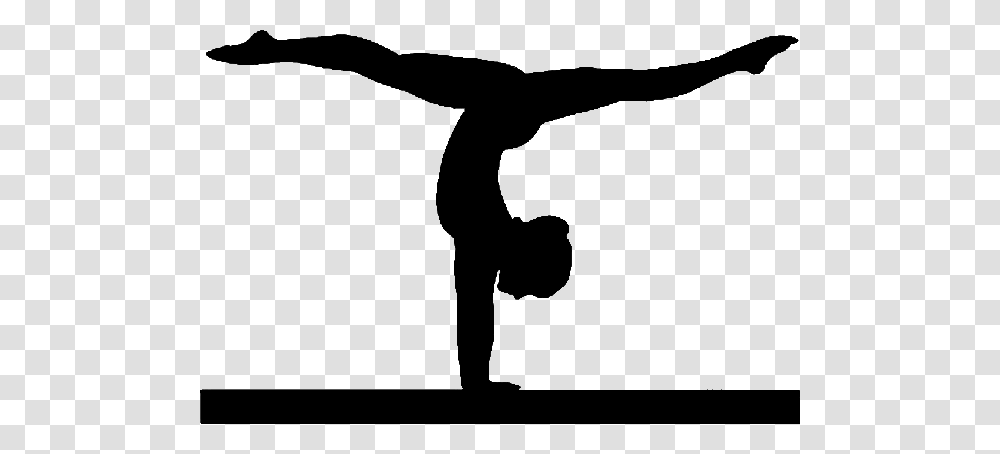 Moves N Motions Gymnastics, Acrobatic, Sport, Sports, Leisure Activities Transparent Png