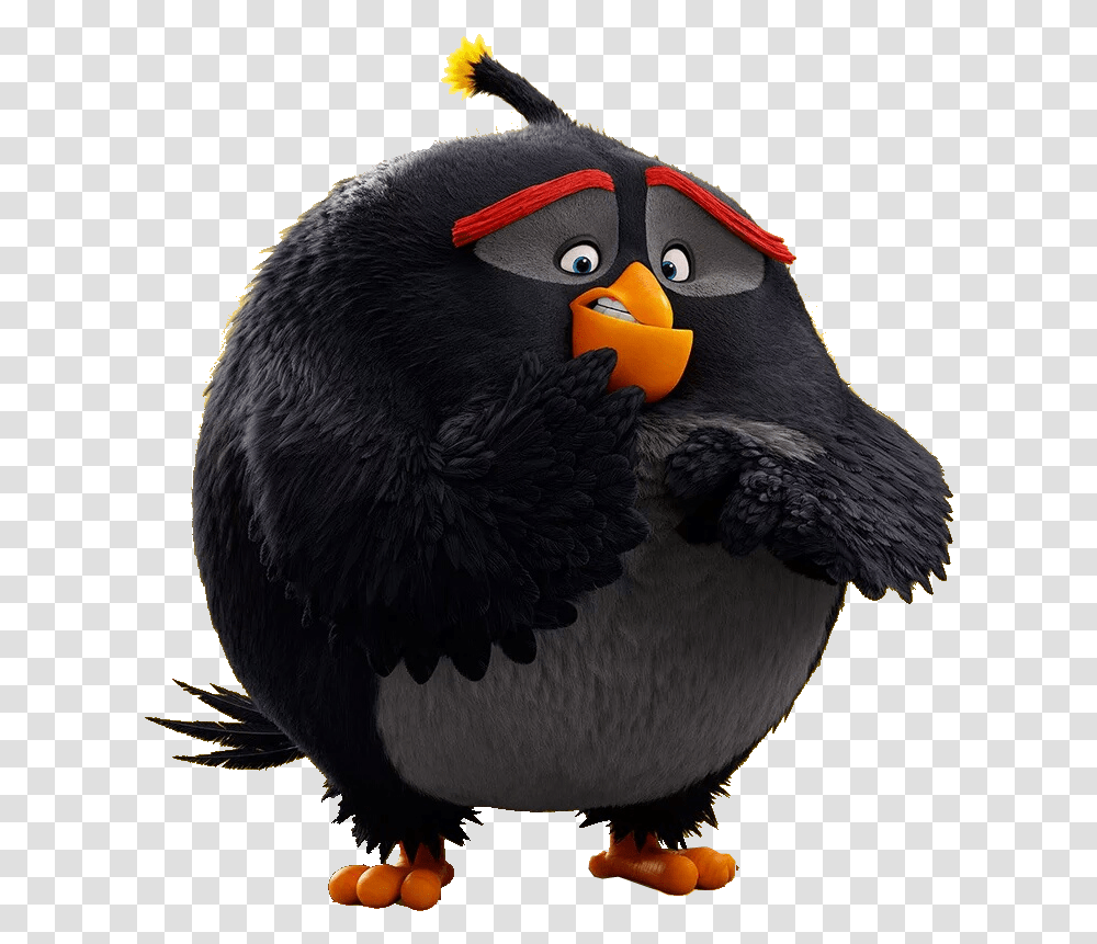 Movie Black Angry Bird Cartoon Bomb, Animal, Puffin, Beak, Chicken Transparent Png