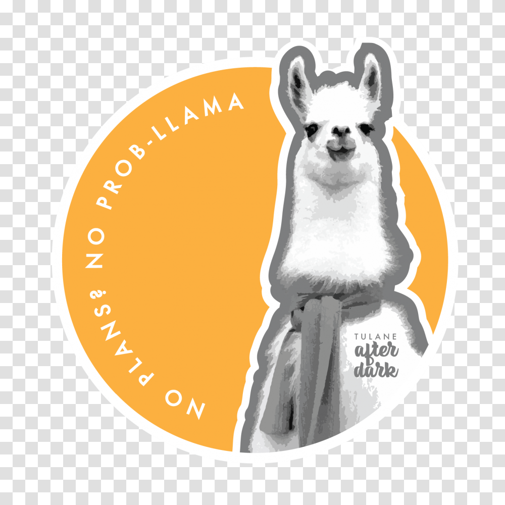 Movie Night Oscar Week Coco Tulane University, Mammal, Animal, Logo Transparent Png
