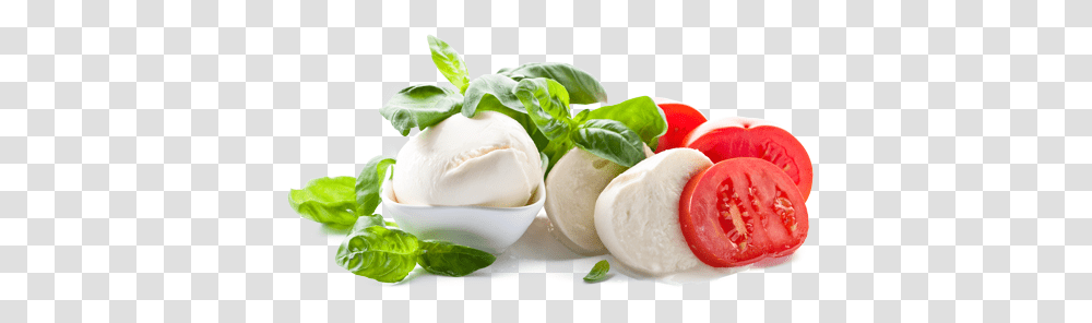 Mozzarella Cheese Mozzarelle, Cream, Dessert, Food, Creme Transparent Png