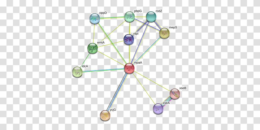 Mpaa Protein Circle, Network, Diagram, Building, Architecture Transparent Png